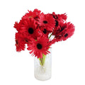 Kırmızı Gerbera (1 adet)