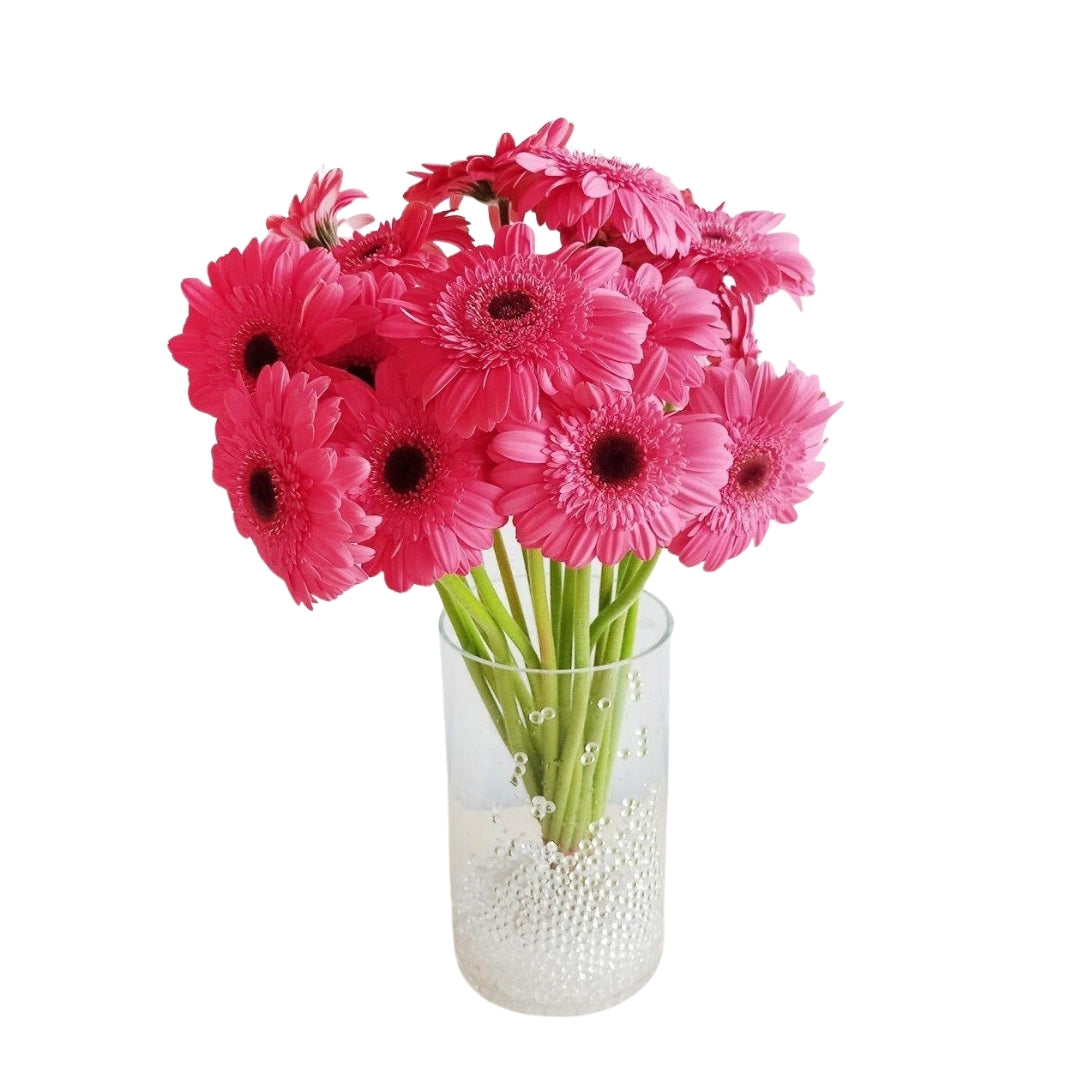 Pembe Gerbera (1 adet)