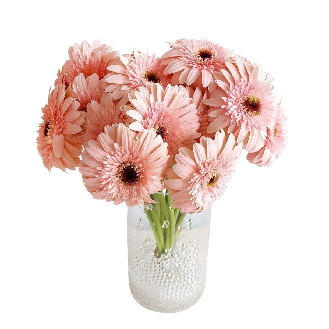 Açık Pembe Gerbera (1 adet)