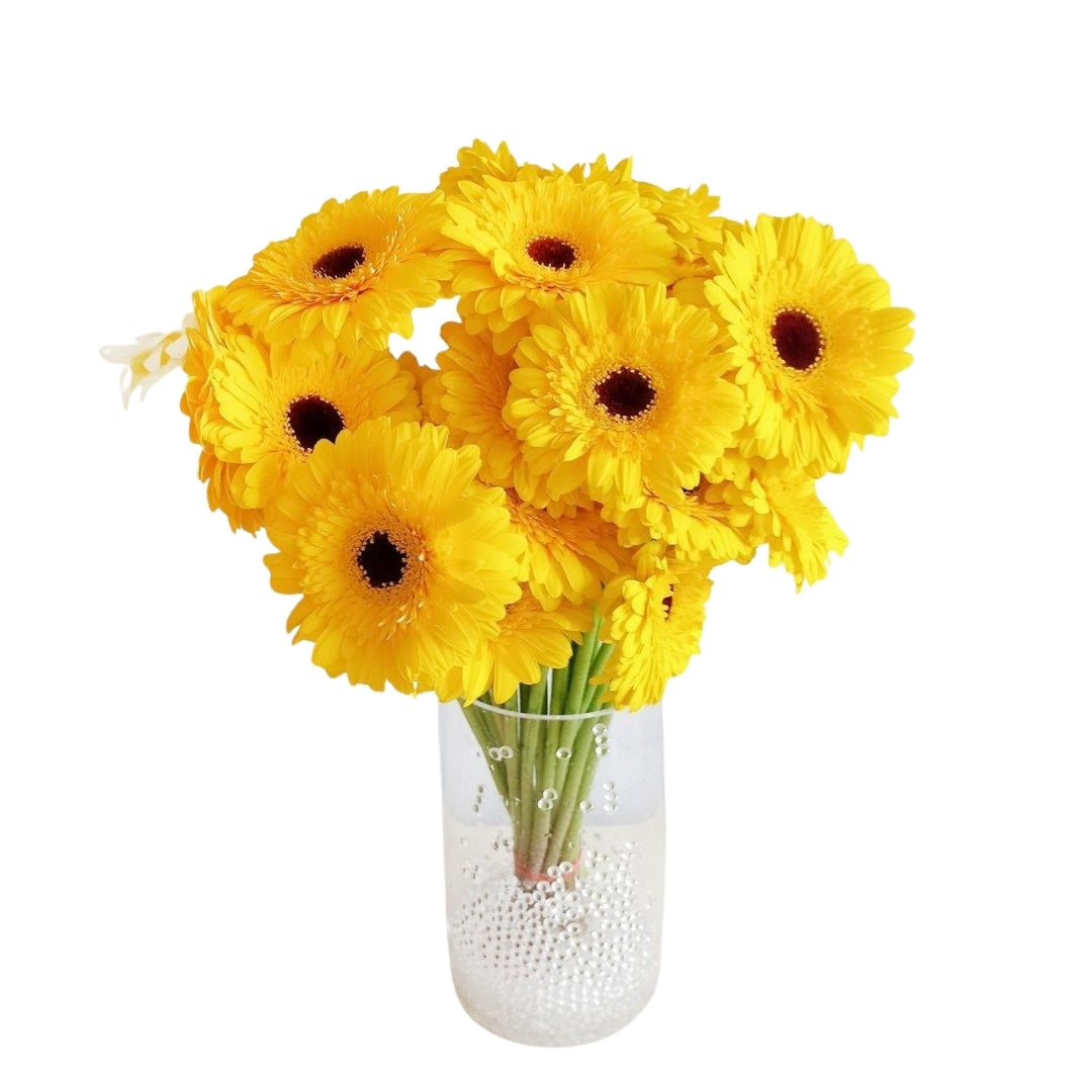 Sarı Gerbera (1 adet)