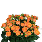 Coral Bubbles Spray Gül (10 adet)
