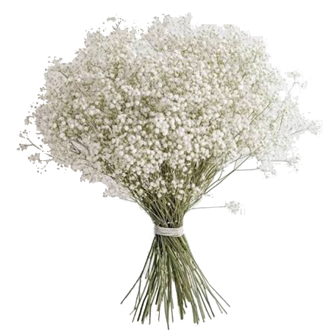Gypso (1 kilogram)