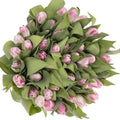 Pembe Lale (1 adet)