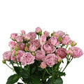 Perfumed Bubbles Spray Gül (10 adet)
