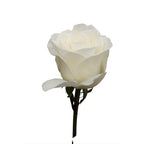White Charming Gül (10 adet)