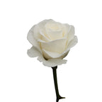 White Charming Gül (10 adet)